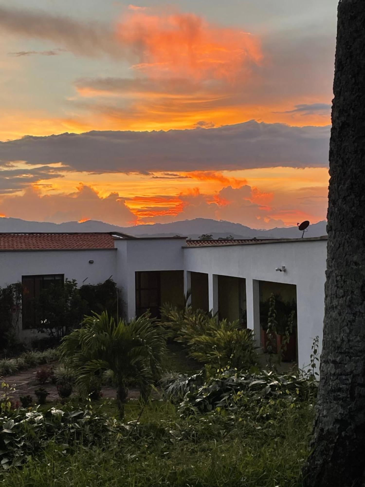 Hotel Boutique La Ceiba Quimbaya Exterior photo